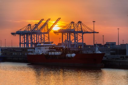 5000 jobs in Zeebrugge (port) bedreigd door de Brexit?