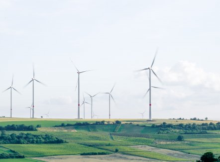 Colruyt Group prône l’énergie renouvelable